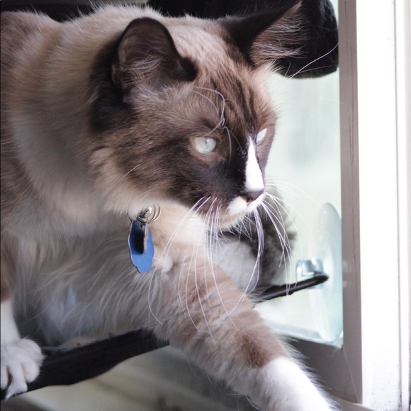 Meet your Posher, Ruth - Picture 1 of 1